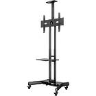 Multibrackets 2319 M Public Floorstand Basic 150|Monitor Trolley incl shelf & camera holder Front View product image