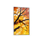 Sharp MultiSync M752 75 inch Large Format Display product image