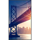 Sharp MultiSync ME862 86 inch Large Format Display product image