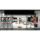 Vogels CVW2255 2×2 Video Wall Ceiling Mount product image