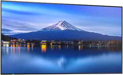 Sharp MultiSync P436